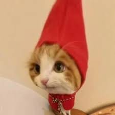 شان مسعود avatar